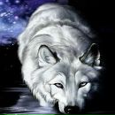 Паша Кісіль фотография #2 (источник - https://vk.com/id162533799)