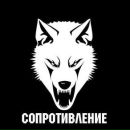 Фотография Никишина Димана