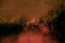 Фотография Сотникова Ильи