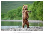 Фотография Серженко Михаила