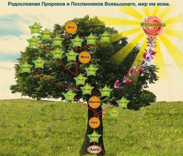 №1, Valijon Dayhudoev, 34 года, Душанбе №1, Valijon Dayhudoev, 34 года, Душанбе