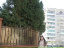 Софійка Войтович фотография #22 (источник - https://vk.com/id158293863)