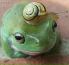 Фотография Баранкова Дарья