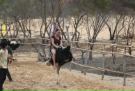 Фотография Дианы Дианы