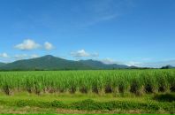 Дмитрий Венгерцев фотография #9 (источник - https://vk.com/id181221)