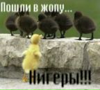 Віталій Сокул фотография #43 (источник - https://vk.com/id154698175)