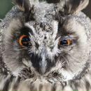 Фотография Кузнецова Михаила