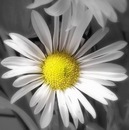 Фотография Гебеш Дмитрий