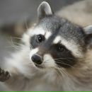 Иван Маркин фотография #17 (источник - https://vk.com/id4067708)