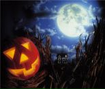 Фотография Толоконцевой Александры