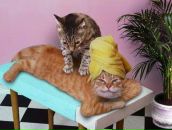 Фотография Лукьяновой Анны