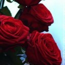 Фотография Марковой Елены