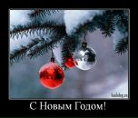 Фотография Губаревой Тамары