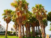 Мария Цырулева фотография #47 (источник - https://vk.com/id780803)