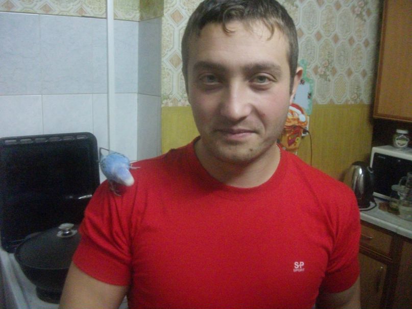 Ден Подвох фотография #34