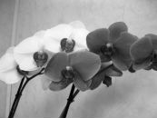 Фотография Богатыревой Марины