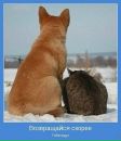 Марія Макарова фотография #38 (источник - https://vk.com/id52820090)