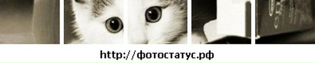 Катерина Олійник фотография #20 (источник - https://vk.com/id76081258)