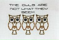 Мікіта Патупчык фотография #13 (источник - https://vk.com/id4807872)