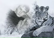 Фотография Готина Александра