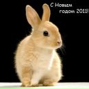 Фотография Наумовой Натальи