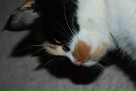 Юрій Дацько фотография #48 (источник - https://vk.com/id9641386)