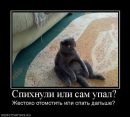 Фотография Демидова Дениса