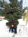 Фотография Сигейкиной Алёны