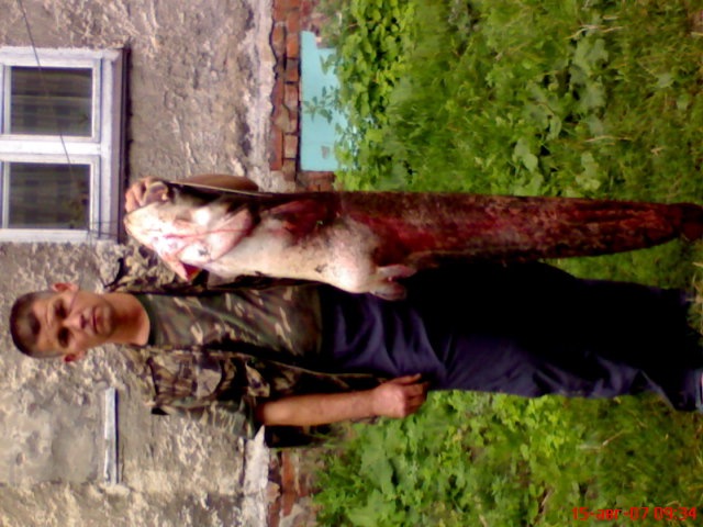 Олег Катасанов фотография #8