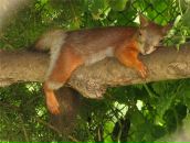 Фотография Кочневой Евгении