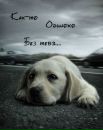 Фотография Людмила Кириллова