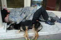 Фотография Миро Марины