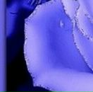 Наталі Котелянець фотография #17 (источник - https://vk.com/id77193697)