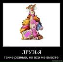 Фотография Столяровой Марины