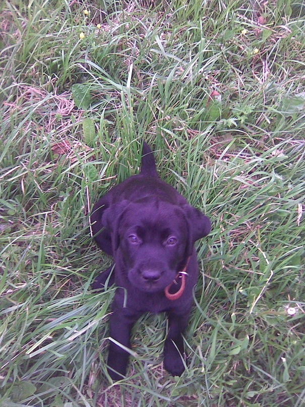 Андрей Студнев фотография #49