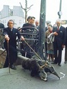 Іван Іванов фотография #38 (источник - https://vk.com/id4698912)