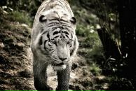 Фотография Коновалова Дмитрия