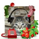 Alex Fox фотография #32 (источник - https://vk.com/id40662)