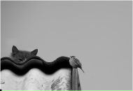 Vados Стрілецький фотография #42 (источник - https://vk.com/id18843408)
