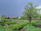 Фотография Шевко Евгения