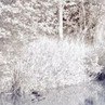 Любаша Гордість-Наша фотография #8 (источник - https://vk.com/id135352185)