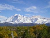 Фотография Бобровникова Владимира