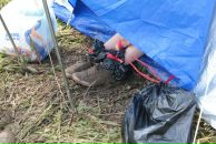 Андрій Світлицький фотография #42 (источник - https://vk.com/id2321783)