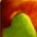 Елена Дмитриева фотография #17 (источник - https://vk.com/id485380)