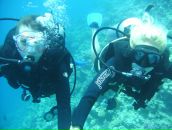 Елена Варваркина фотография #28 (источник - https://vk.com/id9526766)