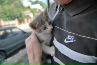 Фотография Полякова Алексея