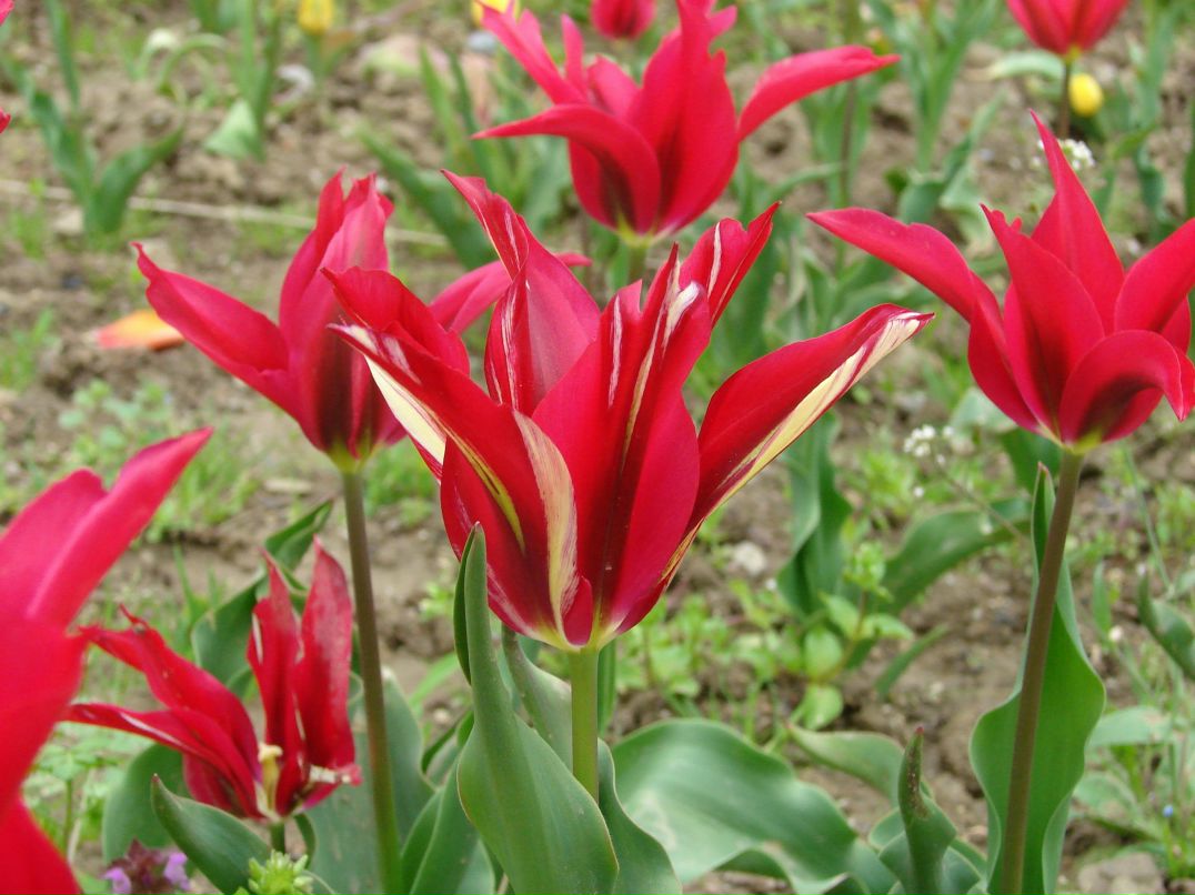 Константин Черников фотография #25