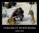 Дмитрий Шанин фотография #9 (источник - https://vk.com/id578933)