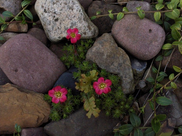 Olga Oconnell фото №9