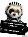 Андрій Кость фотография #23 (источник - https://vk.com/id101523145)